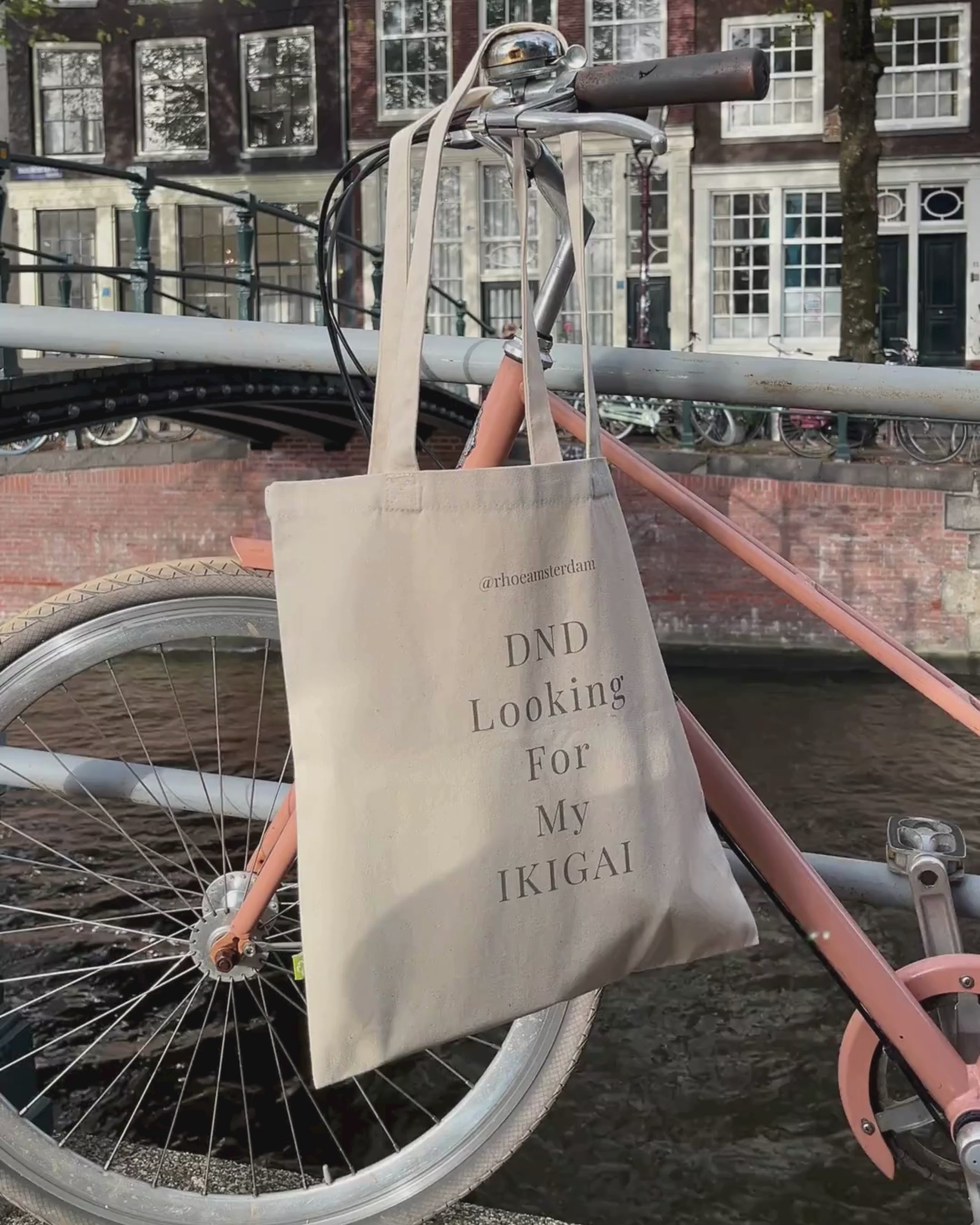 Looking For My IKIGAI